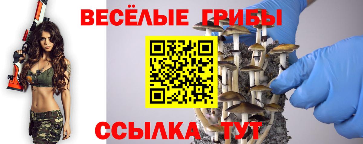 Псилоцибиновые грибы GOLDEN TEACHER  Вход с VPN  Люберцы  Галлюциногенные грибы Magic Shrooms 